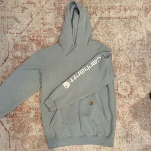 Carhartt Light Sage Green Pullover Hoodie with Sleeve Logo